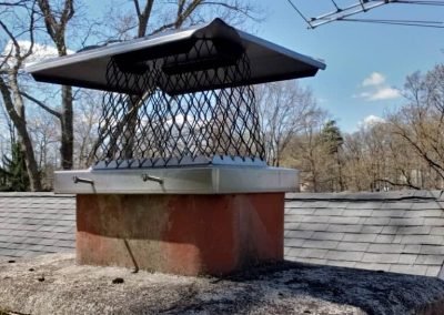A chimney cap with a mesh cover sits atop a brick chimney on a roof, with trees in the background.