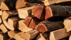 A close-up view of stacked seasoned firewood logs with visible bark and wood grain in warm sunlight.